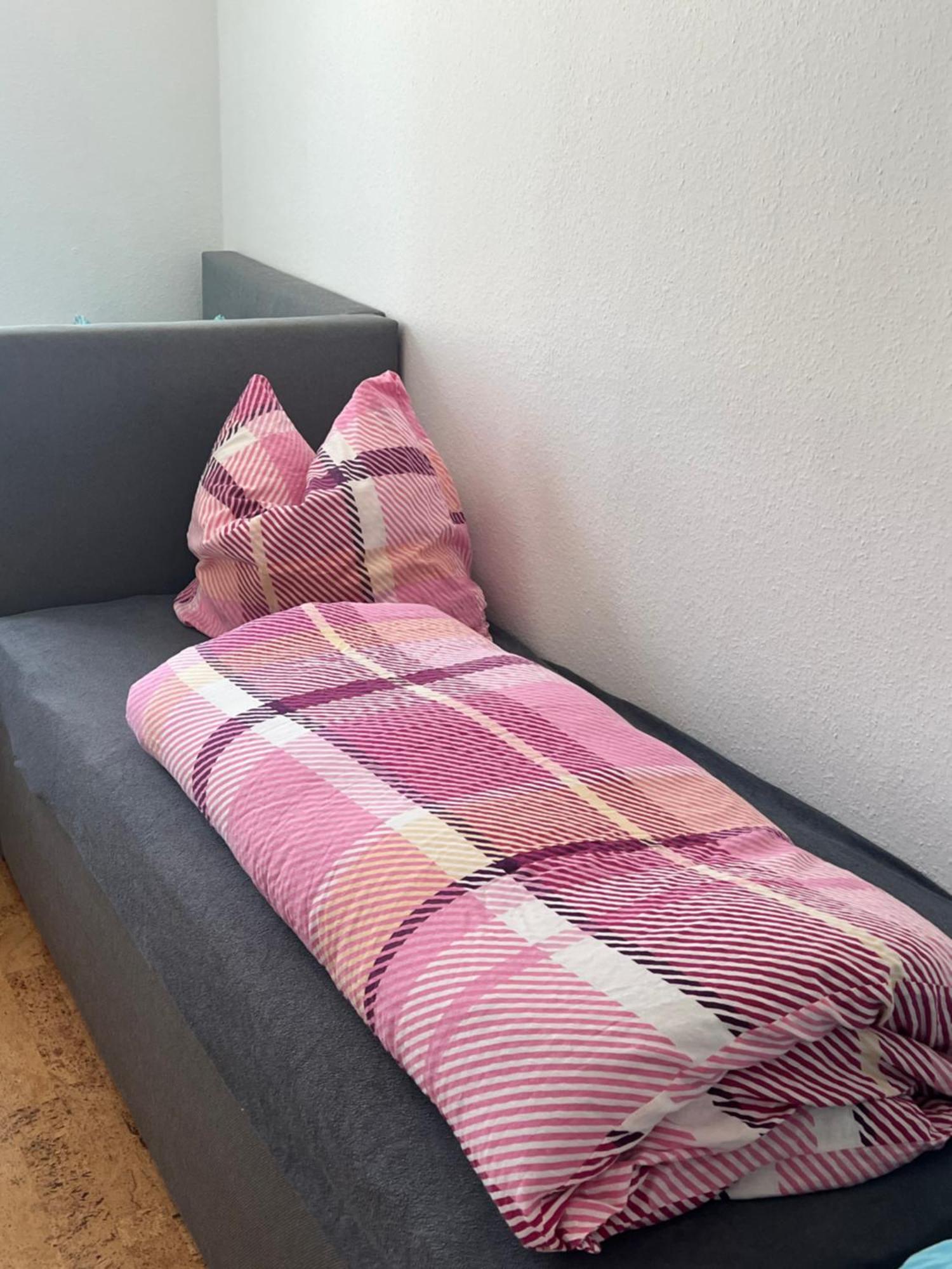 Familienstudio Am Rothaarsteig Auch Mit Hund Medebach Kültér fotó